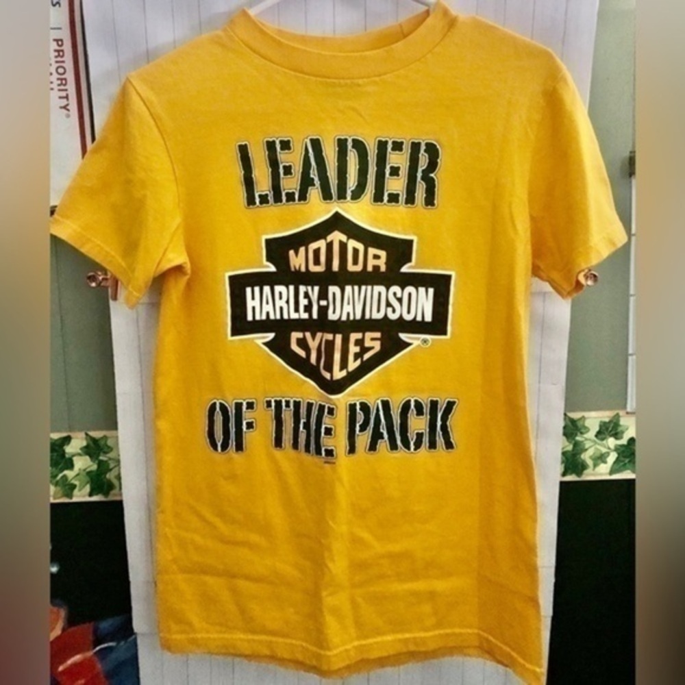 💠Harley-Davidson x NFL Green Bay Packers Football Vandervest, Wisconsin T-shirt